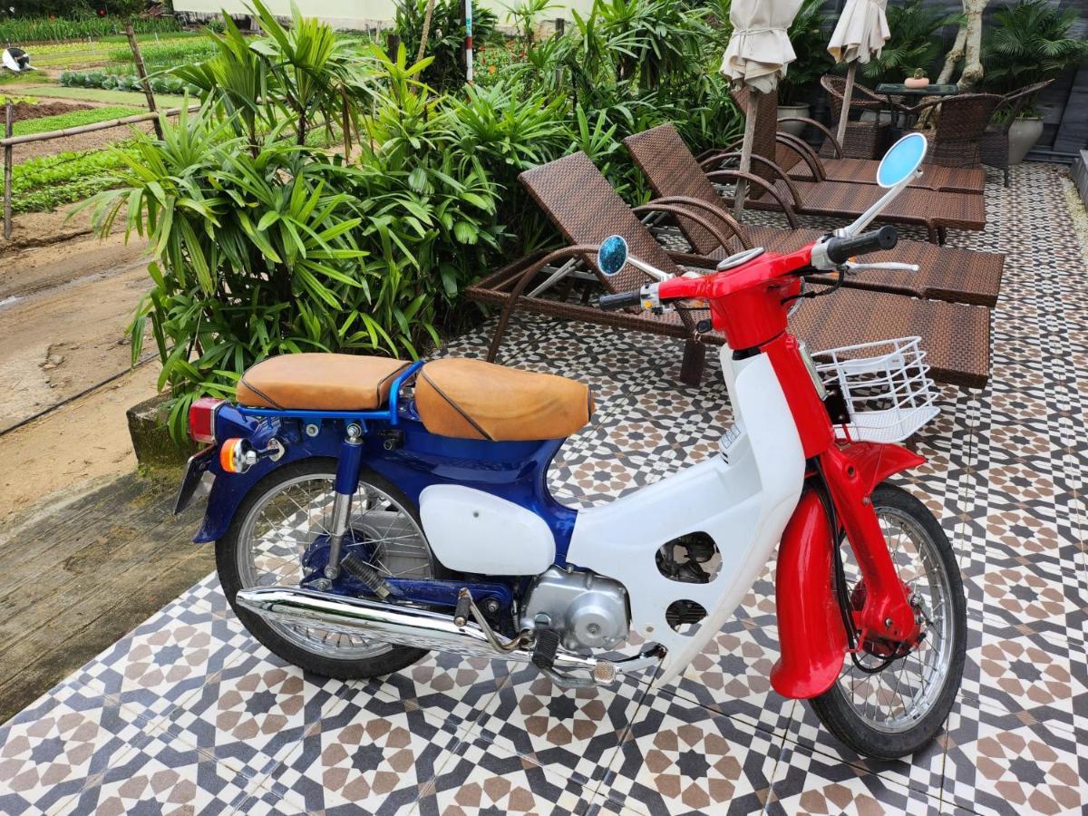 La Maison D'Indochine Hoi An Dış mekan fotoğraf