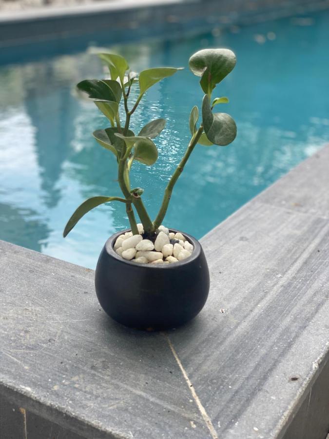 La Maison D'Indochine Hoi An Dış mekan fotoğraf
