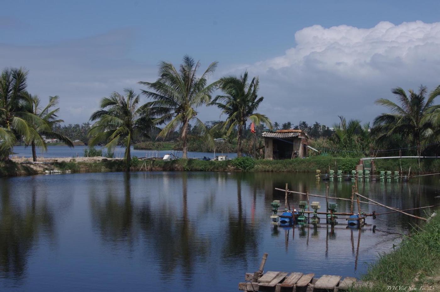 La Maison D'Indochine Hoi An Dış mekan fotoğraf
